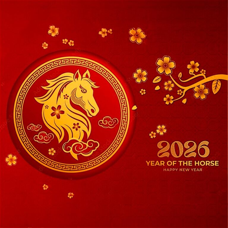 WhatsApp Image 2026-01-27 at 10.00.56 AM